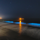 Bioluminescent waves near Scripps Pier, as seen on April 24, 2020.